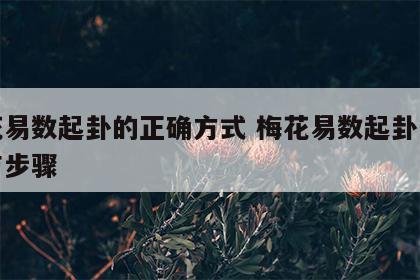 梅花易数起卦的正确方式 梅花易数起卦的方法与步骤