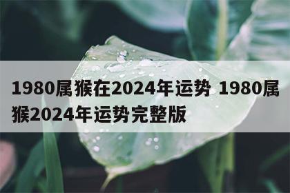 1980属猴在2024年运势 1980属猴2024年运势完整版