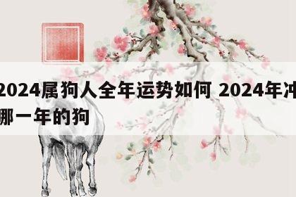 2024属狗人全年运势如何 2024年冲哪一年的狗