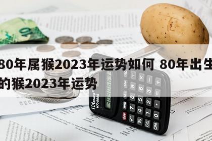 80年属猴2023年运势如何 80年出生的猴2023年运势