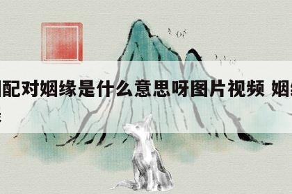 婚姻配对姻缘是什么意思呀图片视频 姻缘婚配表