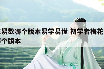 梅花易数哪个版本易学易懂 初学者梅花易数买哪个版本