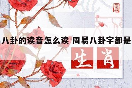 周易八卦的读音怎么读 周易八卦字都是怎么读