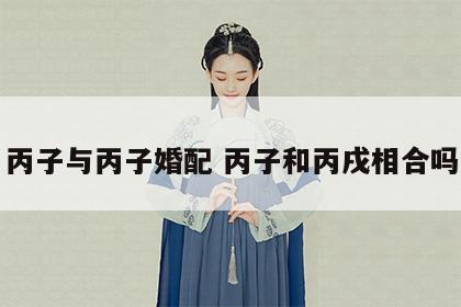 丙子与丙子婚配 丙子和丙戌相合吗