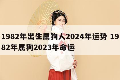 1982年出生属狗人2024年运势 1982年属狗2023年命运