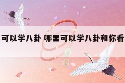哪里可以学八卦 哪里可以学八卦和你看风水呢