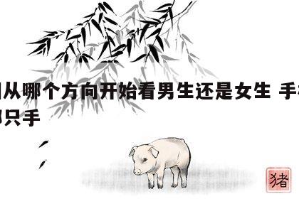 手相从哪个方向开始看男生还是女生 手相是看哪只手