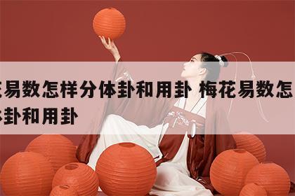 梅花易数怎样分体卦和用卦 梅花易数怎么确定体卦和用卦
