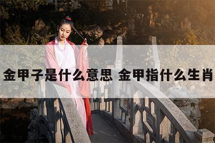 金甲子是什么意思 金甲指什么生肖