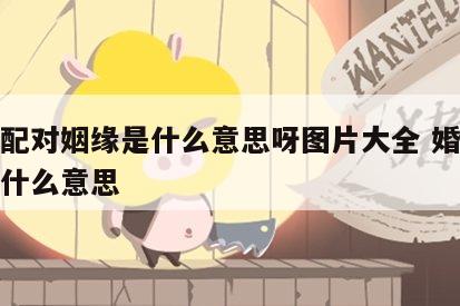 婚姻配对姻缘是什么意思呀图片大全 婚姻匹配是什么意思