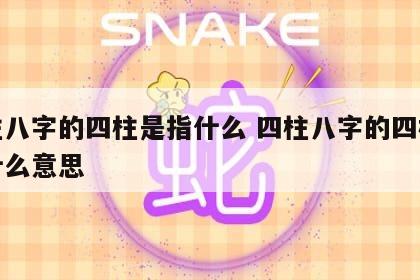 四柱八字的四柱是指什么 四柱八字的四柱是指什么意思