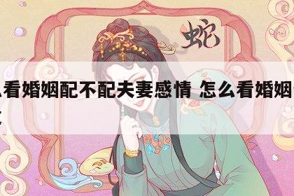 怎么看婚姻配不配夫妻感情 怎么看婚姻合不合适