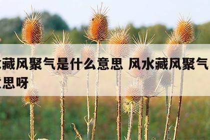 风水藏风聚气是什么意思 风水藏风聚气是什么意思呀