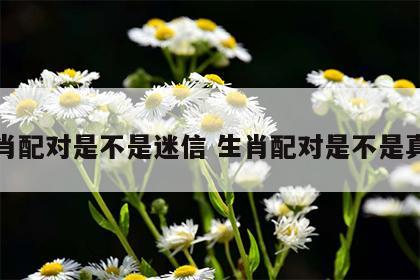 生肖配对是不是迷信 生肖配对是不是真的