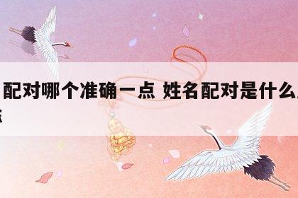 姓名配对哪个准确一点 姓名配对是什么原理准嘛