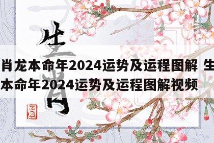 生肖龙本命年2024运势及运程图解 生肖龙本命年2024运势及运程图解视频