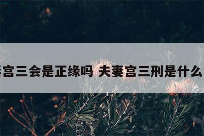 夫妻宫三会是正缘吗 夫妻宫三刑是什么意思