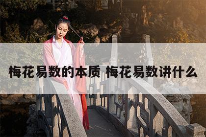梅花易数的本质 梅花易数讲什么