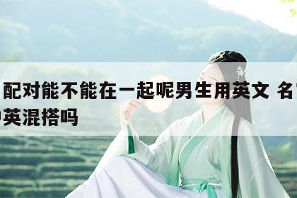 姓名配对能不能在一起呢男生用英文 名字可以中英混搭吗