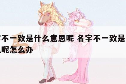 名字不一致是什么意思呢 名字不一致是什么意思呢怎么办