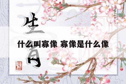 什么叫寡像 寡像是什么像