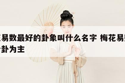 梅花易数最好的卦象叫什么名字 梅花易数以哪个卦为主