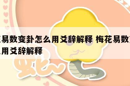 梅花易数变卦怎么用爻辞解释 梅花易数变卦怎么用爻辞解释