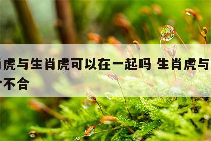 生肖虎与生肖虎可以在一起吗 生肖虎与生肖虎合不合
