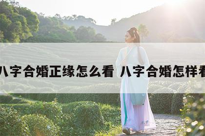 八字合婚正缘怎么看 八字合婚怎样看