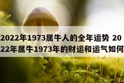 2022年1973属牛人的全年运势 2022年属牛1973年的财运和运气如何