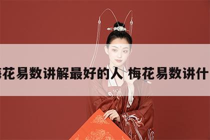 梅花易数讲解最好的人 梅花易数讲什么