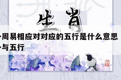 八卦周易相应对对应的五行是什么意思 周易八卦与五行