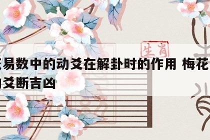 梅花易数中的动爻在解卦时的作用 梅花易数中动爻断吉凶