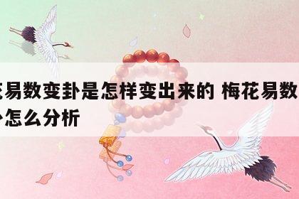 梅花易数变卦是怎样变出来的 梅花易数算出变卦怎么分析