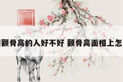 面相颧骨高的人好不好 颧骨高面相上怎么说