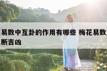 梅花易数中互卦的作用有哪些 梅花易数互卦怎么断吉凶