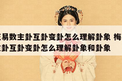 梅花易数主卦互卦变卦怎么理解卦象 梅花易数主卦互卦变卦怎么理解卦象和卦象