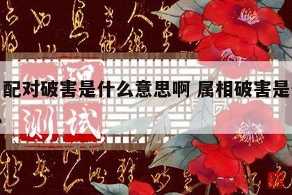 生肖配对破害是什么意思啊 属相破害是什么意思