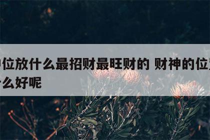 财神位放什么最招财最旺财的 财神的位置放点什么好呢