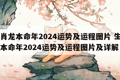 生肖龙本命年2024运势及运程图片 生肖龙本命年2024运势及运程图片及详解