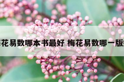 梅花易数哪本书最好 梅花易数哪一版好