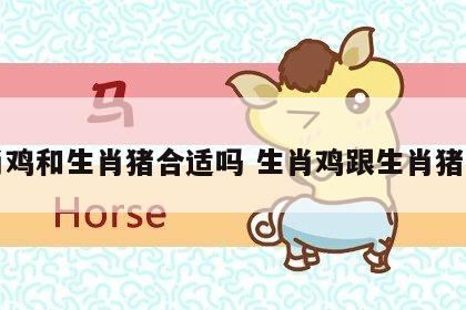 生肖鸡和生肖猪合适吗 生肖鸡跟生肖猪合吗