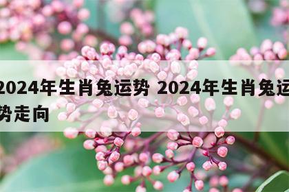 2024年生肖兔运势 2024年生肖兔运势走向