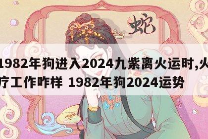 1982年狗进入2024九紫离火运时,火疗工作咋样 1982年狗2024运势