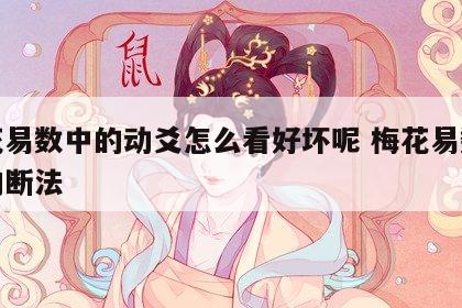 梅花易数中的动爻怎么看好坏呢 梅花易数动爻的断法