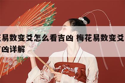 梅花易数变爻怎么看吉凶 梅花易数变爻怎么看吉凶详解
