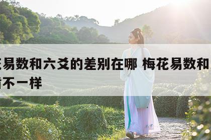 梅花易数和六爻的差别在哪 梅花易数和六爻矛盾不一样