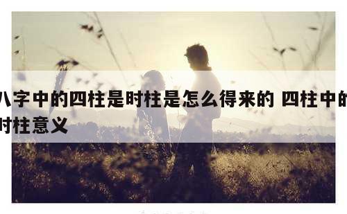 八字中的四柱是时柱是怎么得来的 四柱中的时柱意义