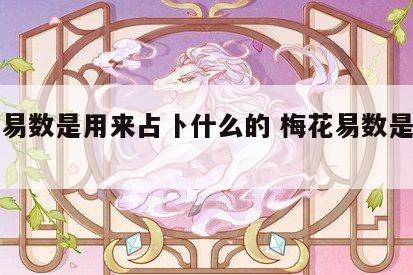 梅花易数是用来占卜什么的 梅花易数是占卜吗