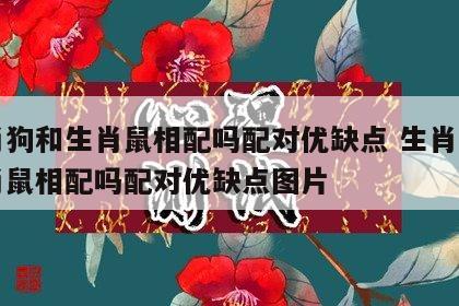 生肖狗和生肖鼠相配吗配对优缺点 生肖狗和生肖鼠相配吗配对优缺点图片